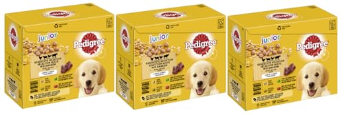 PEDIGREE Portionsbeutel Multipack Junior Gemischte Selektion in Gelee 4 Varietäten mit Huhn, Lamm- und Lebermischung, Geflügel, Rind- und Lebermischung 3 x 12x100g von PEDIGREE