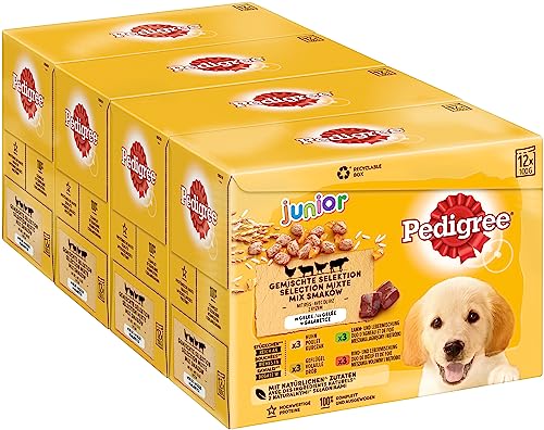 Pedigree Junior Hundenassfutter Vital Protection für Welpen, 48 Portionsbeutel, 12x100g (4er Pack) – Hundefutter nass, in 4 Varietäten in Gelee mit Huhn, Rind, Geflügel, Lamm von PEDIGREE