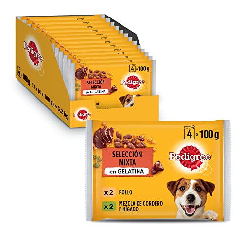 PEDIGREE Pouch Chicken & Lamb in Jelly - Wet Food for Adult Dogs - 13 multipacks of 4x100g Bags von PEDIGREE