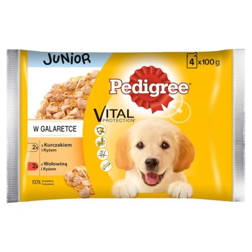 Pedigree Junior Choice of Flavours Nassfutter für Welpen Aller Rassen mit Rindfleisch und Reis in Gelee, Beutel 4x100g von PEDIGREE