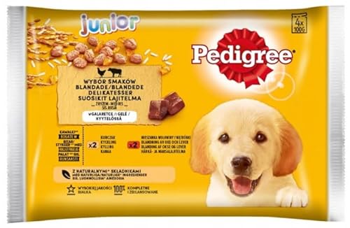 Pedigree Junior Choice of Flavours Nassfutter für Welpen Aller Rassen mit Rindfleisch und Reis in Gelee, Beutel 4x100g von PEDIGREE