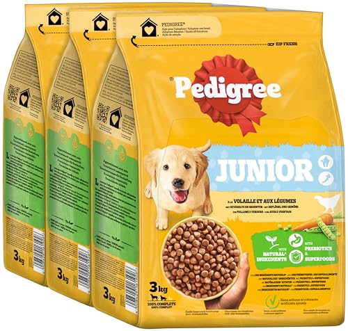 Pedigree Junior Hunde Trockenfutter für Welpen mit Geflügel und Gemüse 3x3kg von PEDIGREE