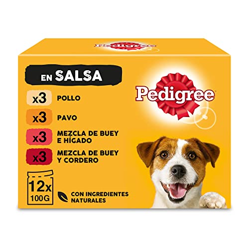 Pedigree Nassfutter für Hunde mit gemischten Geschmacksrichtungen in Sauce, Multipack (4 x 12 Beutel x 100 g) von PEDIGREE
