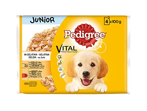 Pedigree Nassfutter für kleine Hunde, Huhn und Ochse mit gelatinem Reis, Multipack (13 Packungen x 4 Beutel x 100 g) von PEDIGREE