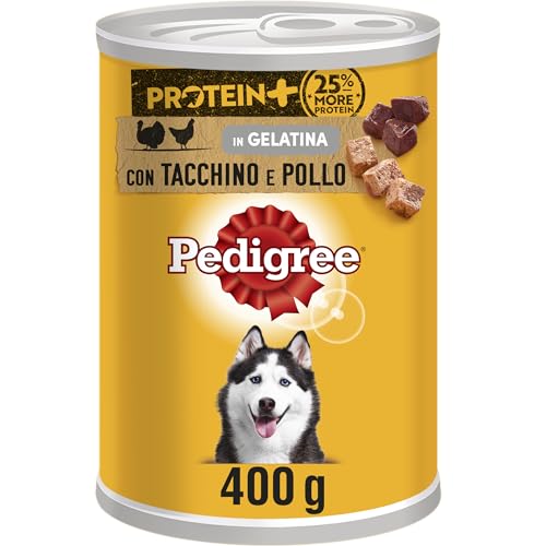 Pedigree Protein + Pastete mit Truthahn und Huhn, Nassfutter für Hunde, 12 Dosen à 400 g von PEDIGREE