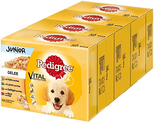 Pedigree Vital Protection Hundenassfutter für Welpen im Beutel – Hundefutter in Gelee mit Huhn, Lamm, Geflügel, Rind & Reis – 48 x 100g Großpackung von PEDIGREE