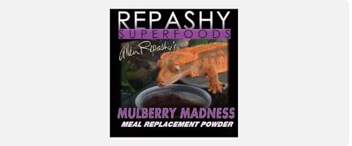 Crested Gecko Mulberry Madness 85 Gramm mit PEEDEE PETS Aufkleber von PEEDEE Pets