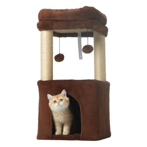 PEEKAB Kleiner Kratzbaum für Katzen bis zu 3,6 kg, Katzenturm und Plüsch-Sitzstange, Katzenkratzbäume mit baumelndem Ball für Indoor-Kätzchen und kleine Katzen, Braun von PEEKAB