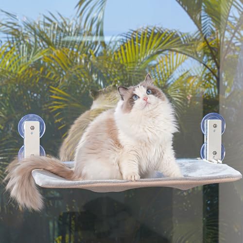 PEFUNY Cordless Folding Cat Window Barch, Katzenhängematte für Fenster und Wand, mit 4 Saugnäpfen, stabile Setal Frame für Glasfenster und Innenwände (Grau Medium) von PEFUNY