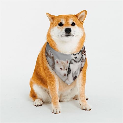 Lovely Husky Hund Bandanas Einstellbare Dreieck Hund Schal Waschbar Doppelschicht Haustier Halstuch Lätzchen für Haustier Kostüm Versorgung Lovely Husky Hund Bandanas Einstellbare Dreieck Hund Schal Waschbar Doppelschicht Haustier Halstuch Lätzchen für Haustier Kostüm Versorgung von PEIXEN