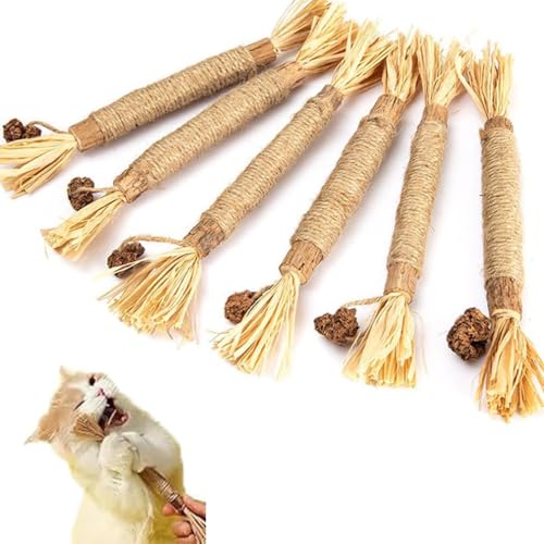 PEKJDS 6PCS Nylatails Silvervine Dental Stick, Nylatails Katze Kau Stick, Katzenminze Spielzeug für Katzen, Katze Sticks, Katze Zähne Nip, Katze Zähne Reinigung, Kitty Dental Kau Stick PEKJDS 6PCS Nylatails Silvervine Dental Stick, Nylatails Katze Kau Stick, Katzenminze Spielzeug für Katzen, Katze Sticks, Katze Zähne Nip, Katze Zähne Reinigung, Kitty Dental Kau Stick von PEKJDS