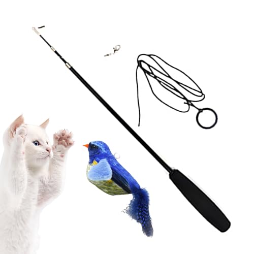 PEKMAR Katzenstab Teaser Schnurspielzeug - Vogelfederspielzeug für Katzen | Entwicklungsinteraktiver Katzenspielzeugstab für Katzenkätzchen im Innenbereich von PEKMAR