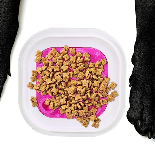 Verlangsamen Sie das Fressen von Hundenäpfen - Langsame Futternäpfe | Hunde-Puzzlenapf mit Rutschfester Unterseite, verhindert Ersticken für kleine, mittelgroße und große Hunde Pekmar von PEKMAR