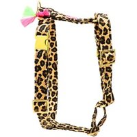 PELLINA - Hundegeschirr - LeoLove gold M von PELLINA