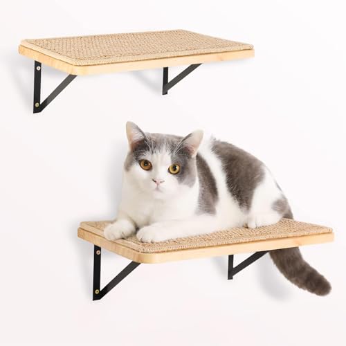 2PC Katzen Kletterwand, Katzenwandmöbel mit Kratzmatte, Wandmontiertes Massivholz Schlafplattform für Klettern/Spielen/Schlafen von PELUOMOZ