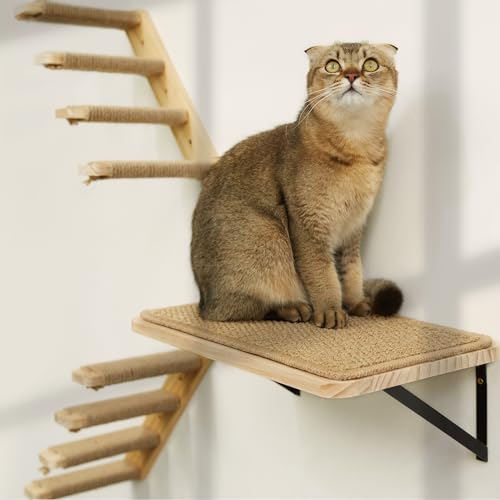 Starkes Katzenregal für die Wandmontage, 1 Katzenregal und 2 Stück 4 Stufen, Katzentreppe mit Sisalseil, Kratzen für Katzen, Sitzplattform, Katzenwandleiter, Katzenwandmöbel von PELUOMOZ