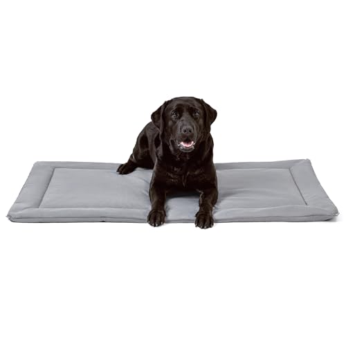 PELZIN Cybarmour Chew Proof Dog Crate Pad - Outdoor Chew Resistant Dog Bed - Tough - Potable - Machine Washable - Water & Dirt-Resistant - Large Breeds & Fits L 109cm Crate - 104x69cm, Limestone PELZIN Cybarmour Chew Proof Dog Crate Pad - Outdoor Chew Resistant Dog Bed - Tough - Potable - Machine Washable - Water & Dirt-Resistant - Large Breeds & Fits L 109cm Crate - 104x69cm, Limestone von PELZIN