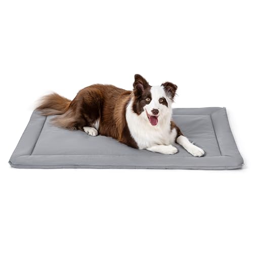 PELZIN Cybarmour Chew Proof Dog Crate Pad - Outdoor Chew Resistant Dog Bed - Tough - Potable - Machine Washable - Water & Dirt-Resistant - Large Breeds & Fits L 92cm Crate - 89x59cm, Limestone PELZIN Cybarmour Chew Proof Dog Crate Pad - Outdoor Chew Resistant Dog Bed - Tough - Potable - Machine Washable - Water & Dirt-Resistant - Large Breeds & Fits L 92cm Crate - 89x59cm, Limestone von PELZIN
