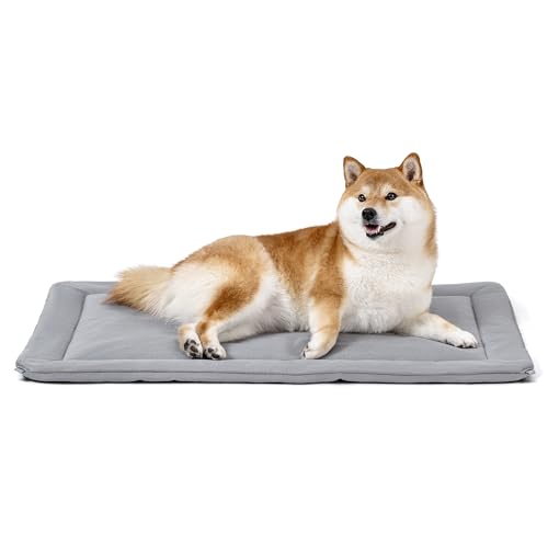PELZIN Cybarmour Chew Proof Dog Crate Pad - Outdoor Chew Resistant Dog Bed - Tough - Potable - Machine Washable - Water & Dirt-Resistant - Medium Breeds & Fits L 77cm Crate - 74x46cm, Limestone PELZIN Cybarmour Chew Proof Dog Crate Pad - Outdoor Chew Resistant Dog Bed - Tough - Potable - Machine Washable - Water & Dirt-Resistant - Medium Breeds & Fits L 77cm Crate - 74x46cm, Limestone von PELZIN