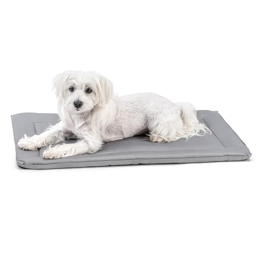 PELZIN Cybarmour Chew Proof Dog Crate Pad - Outdoor Chew Resistant Dog Bed - Tough - Potable - Machine Washable - Water & Dirt-Resistant - Small Breeds & Fits L 62cm Crate - 58x41cm, Limestone PELZIN Cybarmour Chew Proof Dog Crate Pad - Outdoor Chew Resistant Dog Bed - Tough - Potable - Machine Washable - Water & Dirt-Resistant - Small Breeds & Fits L 62cm Crate - 58x41cm, Limestone von PELZIN