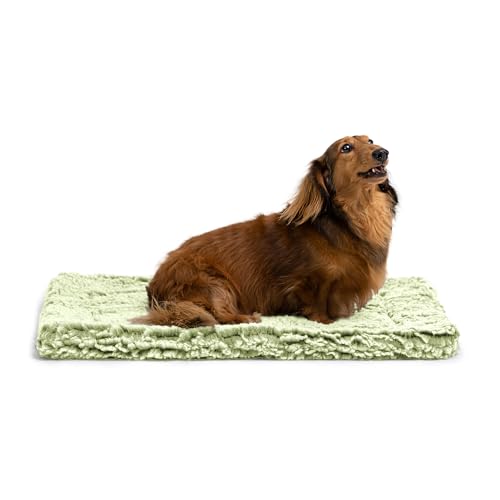 PELZIN Stoutwool Chew Proof Dog Bed - Fluffy Chew Resistant Dog Crate Pad - Tough Kennel Pad for Aggressive Chewers - Washable, Ideal for Small Breeds & Fits L 62cm Crate - 58x41x5cm, Gleam von PELZIN