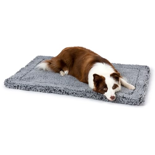 PELZIN Stoutwool unzerstörbares Hundebett, flauschig, kaufest, robuste Hundehüttenunterlage für Aggressive Kauer, waschbar, ideal für große Hunderassen, passend für 91,4 cm große Käfige, 88,9 x 55,9 PELZIN Stoutwool unzerstörbares Hundebett, flauschig, kaufest, robuste Hundehüttenunterlage für Aggressive Kauer, waschbar, ideal für große Hunderassen, passend für 91,4 cm große Käfige, 88,9 x 55,9 von PELZIN