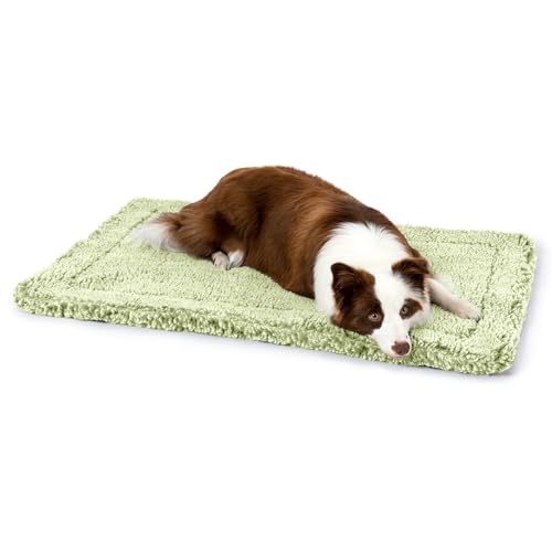 PELZIN Stoutwool unzerstörbares Hundebett, flauschig, kaufest, robuste Hundehüttenunterlage für aggressive Kauer, waschbar, ideal für große Rassen, passend für 91,4 cm große Käfige, 88,9 x 55,9 cm, PELZIN Stoutwool unzerstörbares Hundebett, flauschig, kaufest, robuste Hundehüttenunterlage für aggressive Kauer, waschbar, ideal für große Rassen, passend für 91,4 cm große Käfige, 88,9 x 55,9 cm, von PELZIN