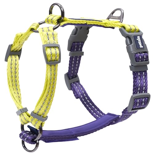 Pelzin 4-in-1-Hundegeschirr, reflektierend, anpassbare Passform, kein Ziehen, Kontrolle von Brust, Nacken, Rücken oder zwei Punkten Befestigung, ideal für Hundetraining und Gehorsam, Pelzin 4-in-1-Hundegeschirr, reflektierend, anpassbare Passform, kein Ziehen, Kontrolle von Brust, Nacken, Rücken oder zwei Punkten Befestigung, ideal für Hundetraining und Gehorsam, von PELZIN