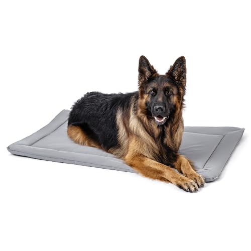 Pelzin Cybarmour Chew Proof Dog Crate Pad - Outdoor Chew Resistant Dog Bed - Tough - Potable - Machine Washable - Water & Dirt-Resistant - Extra Large Breeds & Fits L 122cm Crate - 119x74cm, Limestone Pelzin Cybarmour Chew Proof Dog Crate Pad - Outdoor Chew Resistant Dog Bed - Tough - Potable - Machine Washable - Water & Dirt-Resistant - Extra Large Breeds & Fits L 122cm Crate - 119x74cm, Limestone von PELZIN