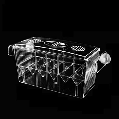 PENCK Fischzuchtbox für Aquarium, Acryl-Kunststoff-Züchterbox für Aquarium, Baby-Schnecken, Fische, Garnelen, Clownfische, Kindergarten-Behälter, Fischbrutkasten mit Saugnäpfen PENCK Fischzuchtbox für Aquarium, Acryl-Kunststoff-Züchterbox für Aquarium, Baby-Schnecken, Fische, Garnelen, Clownfische, Kindergarten-Behälter, Fischbrutkasten mit Saugnäpfen von PENCK