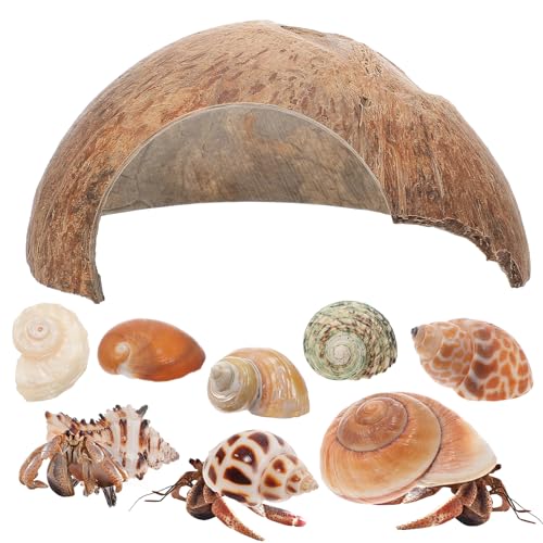 PENIKOKO 1 Satz Kokosnuss Versteck für Reptilien und Fische Natürlicher Unterschlupf aus Robustem Kokosmaterial Langlebig und Sicher für Aquarien und Terrarien für Eidechsen und Andere PENIKOKO 1 Satz Kokosnuss Versteck für Reptilien und Fische Natürlicher Unterschlupf aus Robustem Kokosmaterial Langlebig und Sicher für Aquarien und Terrarien für Eidechsen und Andere von PENIKOKO