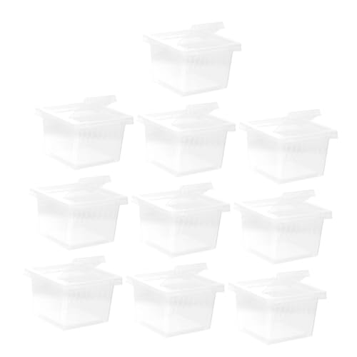 PENIKOKO 10 Stück Teiliges Transparentes Reptilien Futter und Zuchtbox Vielseitiges Terrarium Gehege für Spinnen Eidechsen Geckos Leicht zu Reinigen Sicheres Habitat mit Klarer Beobachtung von PENIKOKO