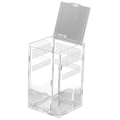 PENIKOKO 1Satz Transparente Reptilien Habitatbox Mit Magnetverschluss Hochtransparent Für Schlangen Spinnen Geckos Und Andere Haustiere Und Belüftet von PENIKOKO