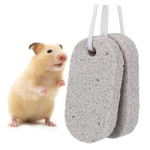 PENIKOKO 2 Haustier Zähne Mineral Calcium Backenzähne Stein für Hamster Kaninchen Meerschweinchen und Kleine Nagetiere zum Gesunden Zahnabrieb von PENIKOKO