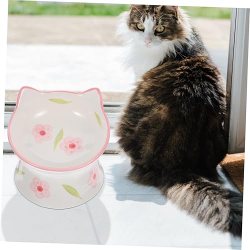 PENIKOKO 2 Stück Erhöhte Keramik katzennäpfe Schräger Randabschluss für Nackenschutz rutschfeste Futternäpfe für Katzen und Kleine Haustiere Einfache Reinigung Großes Fassungsvermögen PENIKOKO 2 Stück Erhöhte Keramik katzennäpfe Schräger Randabschluss für Nackenschutz rutschfeste Futternäpfe für Katzen und Kleine Haustiere Einfache Reinigung Großes Fassungsvermögen von PENIKOKO