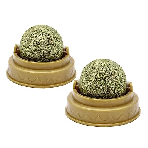 PENIKOKO 2 Stück Katzenminze Ball Essbarer Katzenspielzeug Lutschball mit Minzgeschmack Zahnreinigend Fördert Verdauung Sicher und Langlebig für Wohnungskatzen und Kätzchen von PENIKOKO