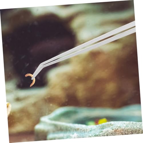 PENIKOKO 2 Stück Teiliges Lange Fütterungspinzette aus Edelstahl mit Geradem und Gebogenem Kopf Robuste Reptilien futterzange für Terrarien Ergonomisch Langlebig und Einfach zu Bedienen PENIKOKO 2 Stück Teiliges Lange Fütterungspinzette aus Edelstahl mit Geradem und Gebogenem Kopf Robuste Reptilien futterzange für Terrarien Ergonomisch Langlebig und Einfach zu Bedienen von PENIKOKO