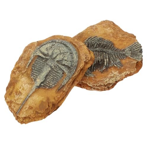 PENIKOKO 2 Stück Teiliges Resin Fossil Reptilien Terrarium Dekor Natürliche Versteck Höhlen für Geckos Echsen Schildkröten Kratzfest Langlebig Geruchsneutral Dekorative Box Ornamente PENIKOKO 2 Stück Teiliges Resin Fossil Reptilien Terrarium Dekor Natürliche Versteck Höhlen für Geckos Echsen Schildkröten Kratzfest Langlebig Geruchsneutral Dekorative Box Ornamente von PENIKOKO