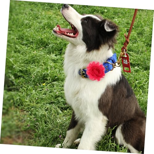 PENIKOKO 20 Stück Teiliges Chiffon Hundehalsband mit Blumen Weiche Leichte Halsbandblumen Vielseitige Haustier Schleifen für Katzen und Hunde Bequemes Zubehör für Alltag und Pflege von PENIKOKO