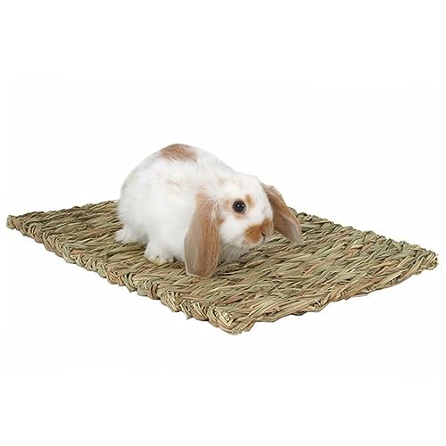 PENIKOKO 2Stücke Seegras Haustiermatte Für Kleintiere Essbare Kauspielzeugmatte Für Meerschweinchen Chinchillas Und Andere Haustiere PENIKOKO 2Stücke Seegras Haustiermatte Für Kleintiere Essbare Kauspielzeugmatte Für Meerschweinchen Chinchillas Und Andere Haustiere von PENIKOKO