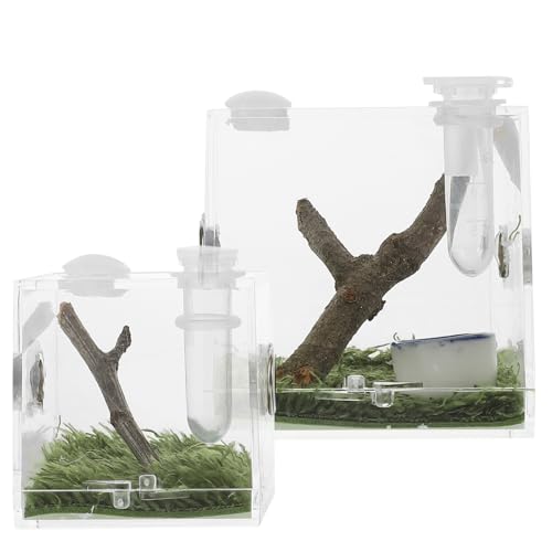 PENIKOKO 2Stücke Transparente Insekten Springende Zuchtbox für Spinnen und Insekten Design mit Lüftungslöchern für Aufzucht und Fütterung von PENIKOKO