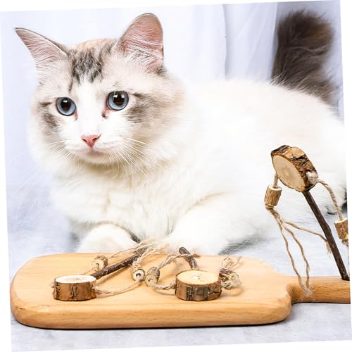 PENIKOKO 3 Stück Teiliges Katzenspielzeug Pet Teasing Sticks aus Interaktive Katzenmolar spielzeuge zur Zahnpflege und Beschäftigung Geeignet für Katzen als Energiespendender Kauspielzeug von PENIKOKO