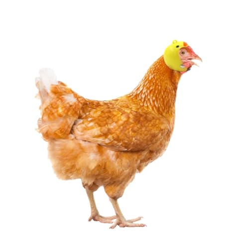 PENIKOKO 3 Stücke Teiliges Hühnchen Helm Verstellbar Elastisch Lustiges Geflügel Schutzhelm Bird Headwear für Haustiere mit Gelb Enten Flammen und Tarnmuster von PENIKOKO
