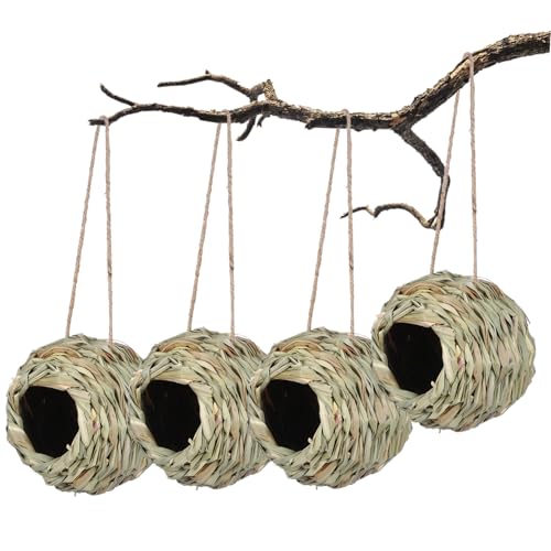 PENIKOKO 4 Stück Handgewebte Vogel Nester aus Gras Rundes Schlafnest Atmungsaktive Sichere Vögelruhe für Papageien Kolibris und Kleine Gartenvögel Hängend und Kompakt PENIKOKO 4 Stück Handgewebte Vogel Nester aus Gras Rundes Schlafnest Atmungsaktive Sichere Vögelruhe für Papageien Kolibris und Kleine Gartenvögel Hängend und Kompakt von PENIKOKO