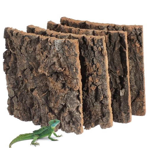 PENIKOKO 4 Stück Korkrinde Hintergrund Dekoration für Reptilien Terrarium Flache Korkrinde für Gecko und Bartagame Sicheres Aquarienzubehör von PENIKOKO