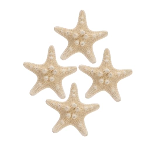 PENIKOKO 4 Stück Natürliche Flache Seesterne Langlebige Deko mit Maritimem Design für Strand Themen Vielseitige Wohnraumdekoration Wohnzimmer Schlafzimmer Geschenkidee von PENIKOKO