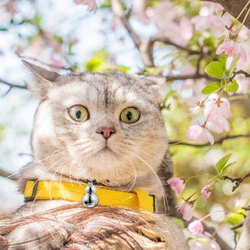 PENIKOKO 5 Stück Teiliges Haustier Glocken Gourd Form Anhänger Klare Klangqualität DIY Haustier Halsband Charms Weihnachtsdeko Vielseitig für Hund Katze Schlüsselanhänger von PENIKOKO