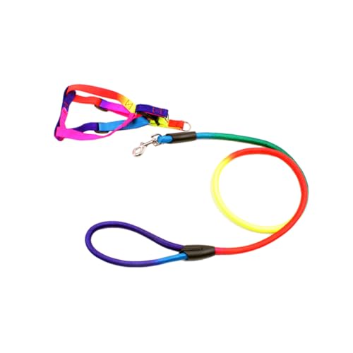 PENIKOKO Buntes Verstellbares Hundegeschirr mit Leine Langlebiges Nylon für Kleine und Mittlere Hunde Modisch und Bequem für Welpen und Tägliche Spaziergänge von PENIKOKO