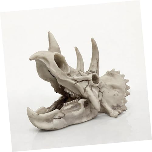 PENIKOKO Dinosaurier schädel Aquarium Dekoration aus Hochwertigem Harz Stabile Versteckhöhle für Garnelen und Kleine Fische Naturgetreues Langlebiges Aquarienornament für Heim PENIKOKO Dinosaurier schädel Aquarium Dekoration aus Hochwertigem Harz Stabile Versteckhöhle für Garnelen und Kleine Fische Naturgetreues Langlebiges Aquarienornament für Heim von PENIKOKO