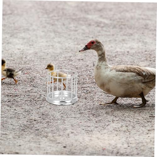 PENIKOKO Edelstahl Reptilien Futterschale Leicht zu Reinigen Stabiler Schildkröten Futterspender mit Rutschfestem Boden für Terrarien und Kleine Wasserschildkröten von PENIKOKO